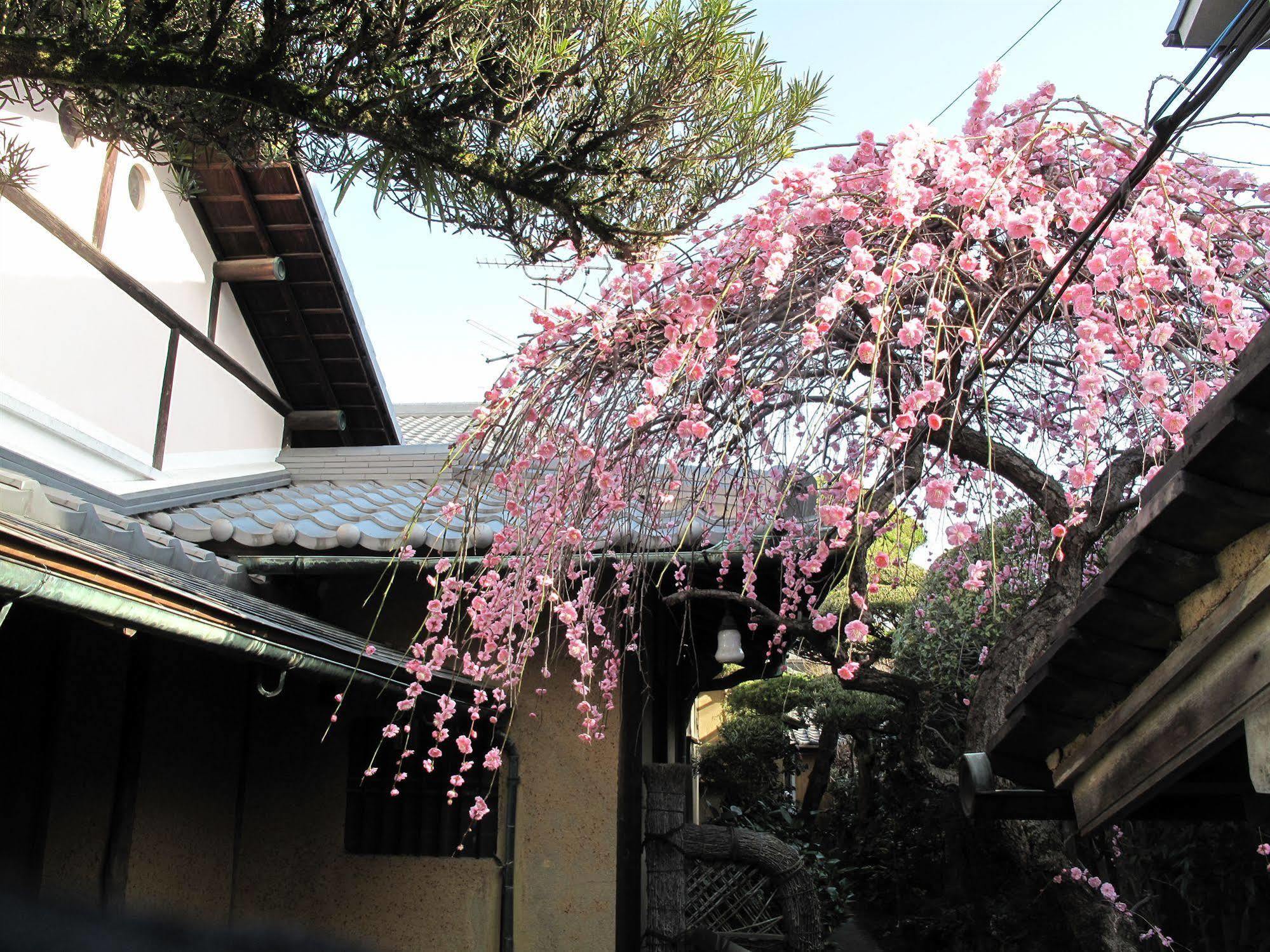 Guesthouse Nara Backpackers Dış mekan fotoğraf